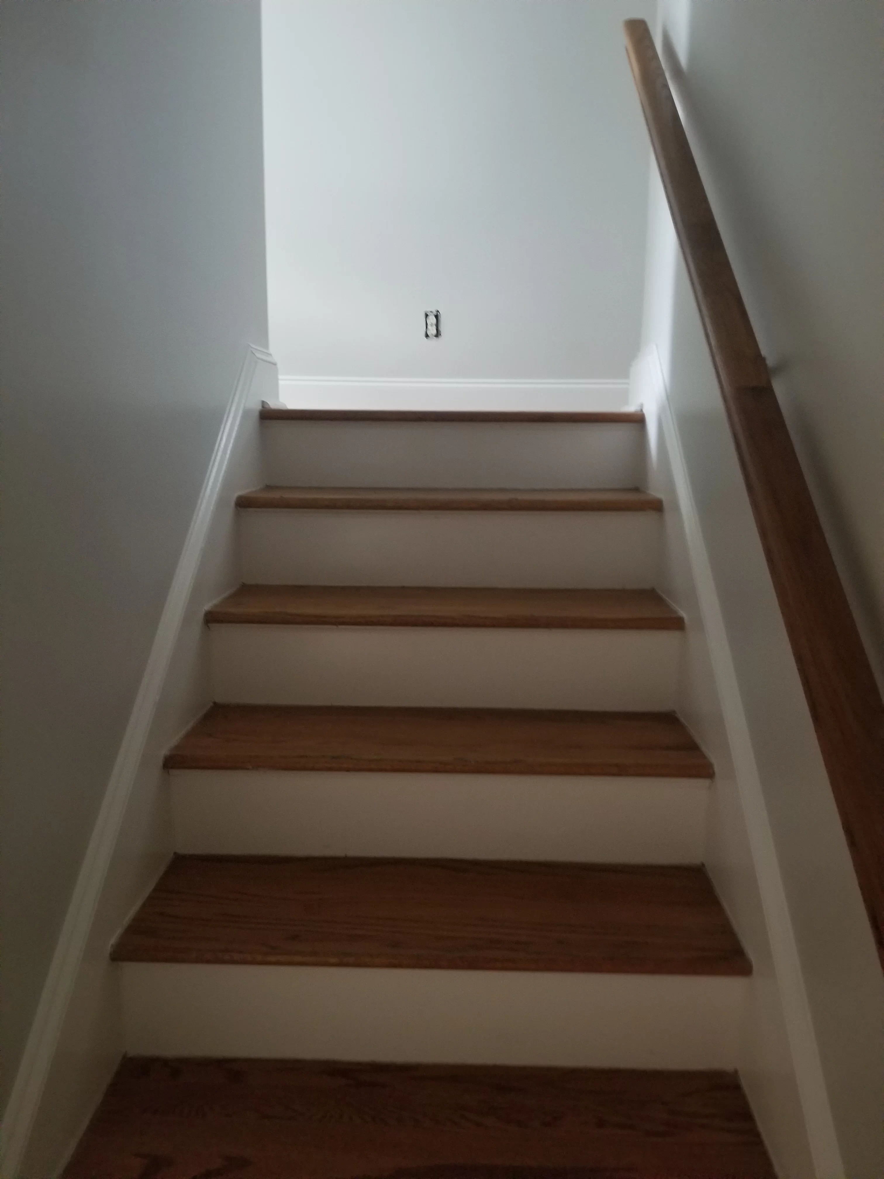 contractor projects in savannah ga