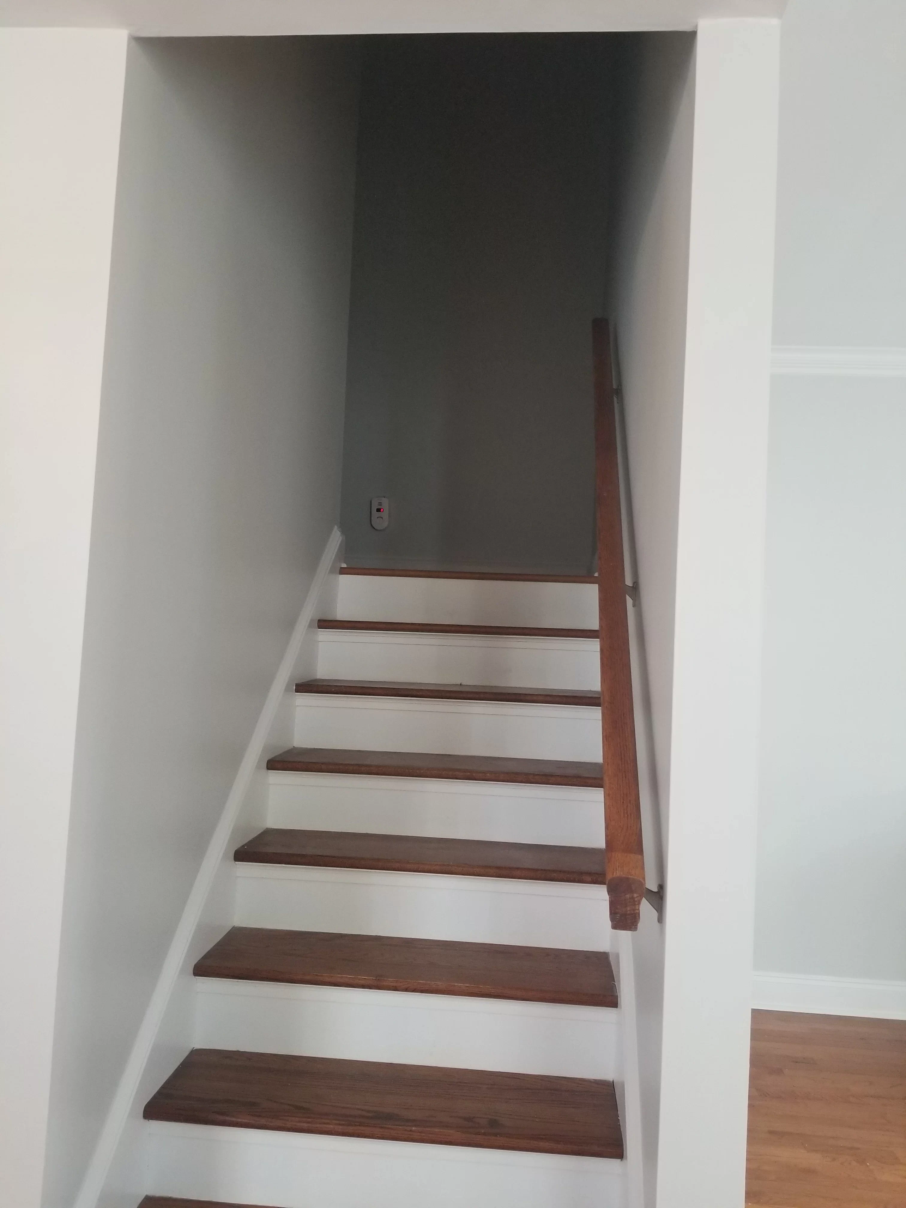 contractor projects in savannah ga