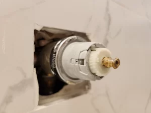 savannah exterior painter