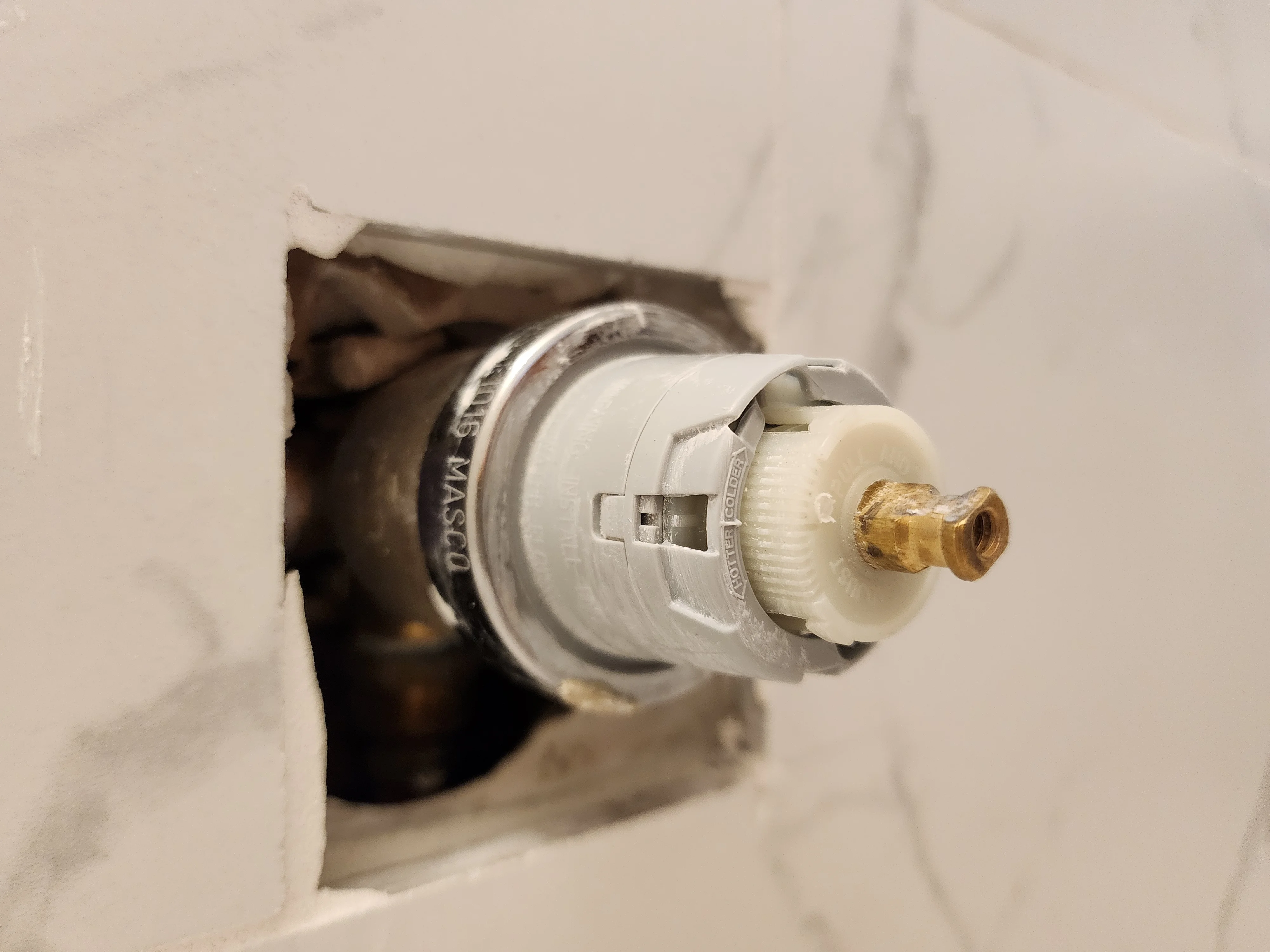 savannah exterior painter