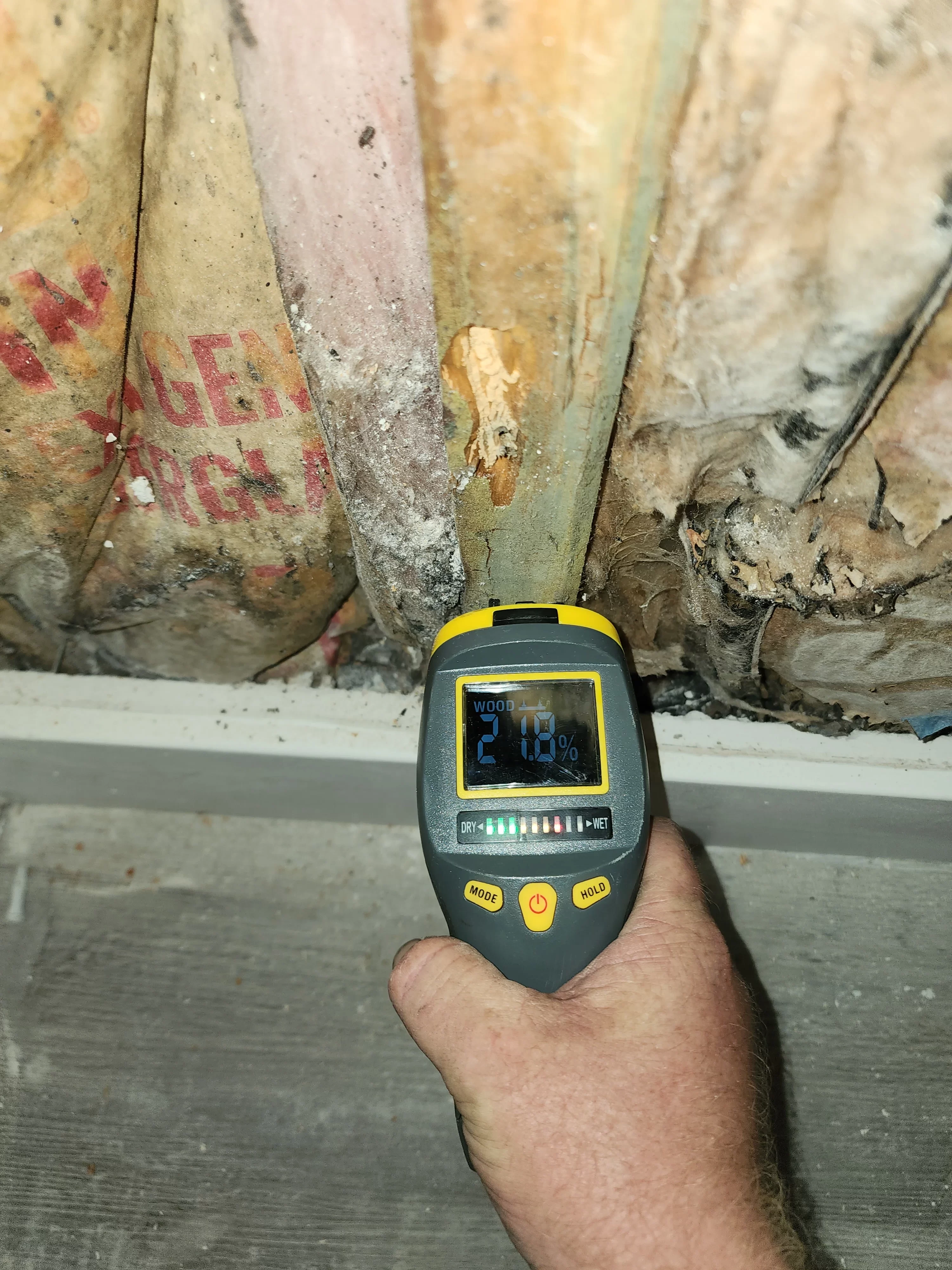 contractor in savannah ga