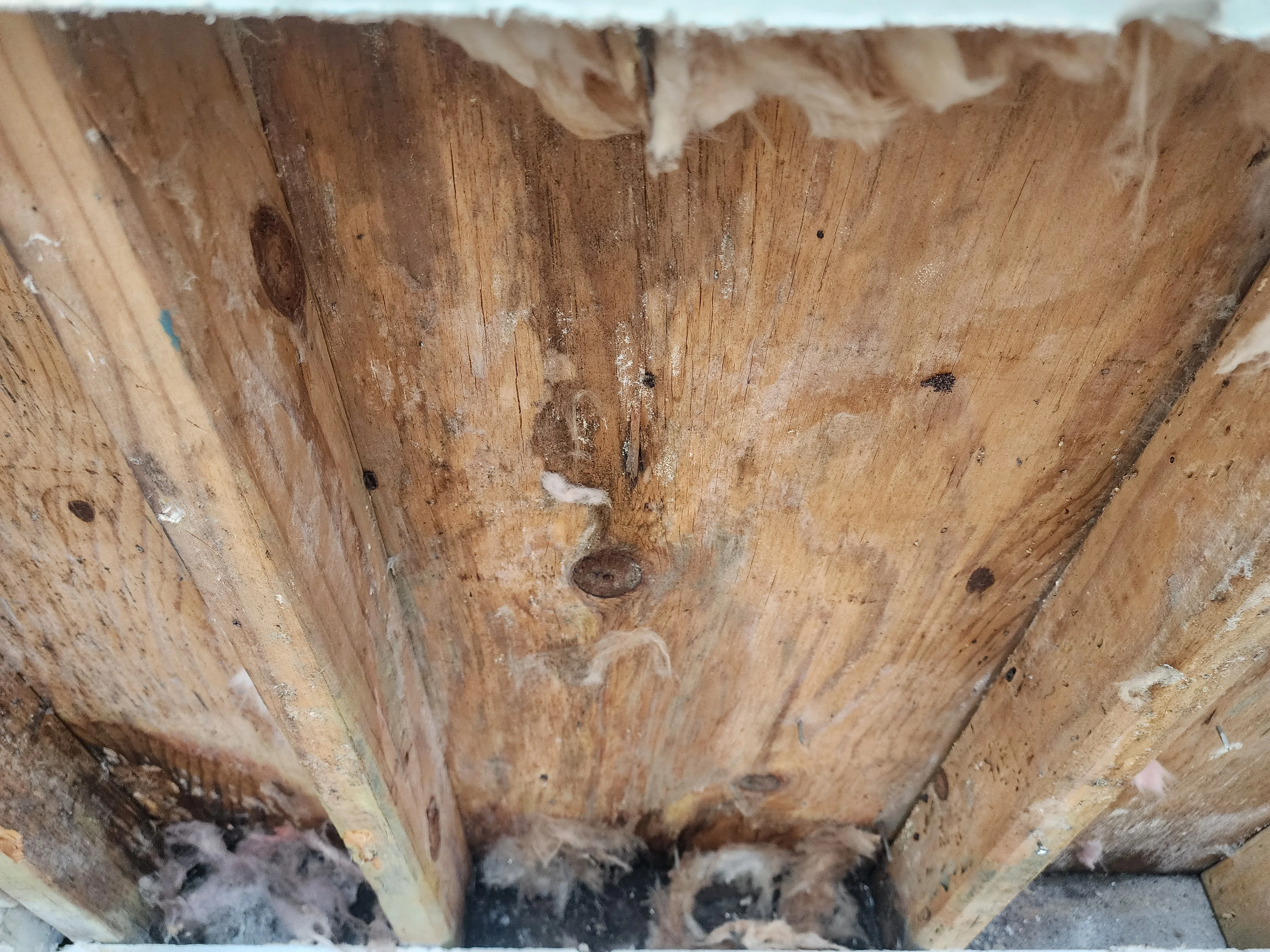 contractor in savannah ga